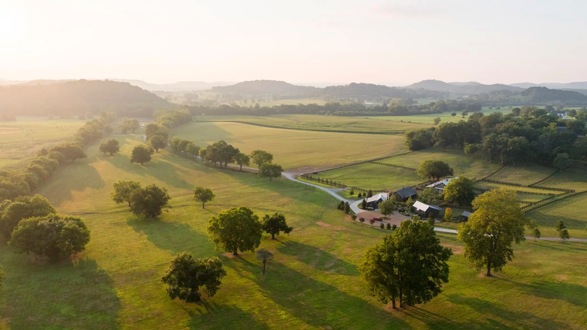 Willow Tree Farm — Photo 4