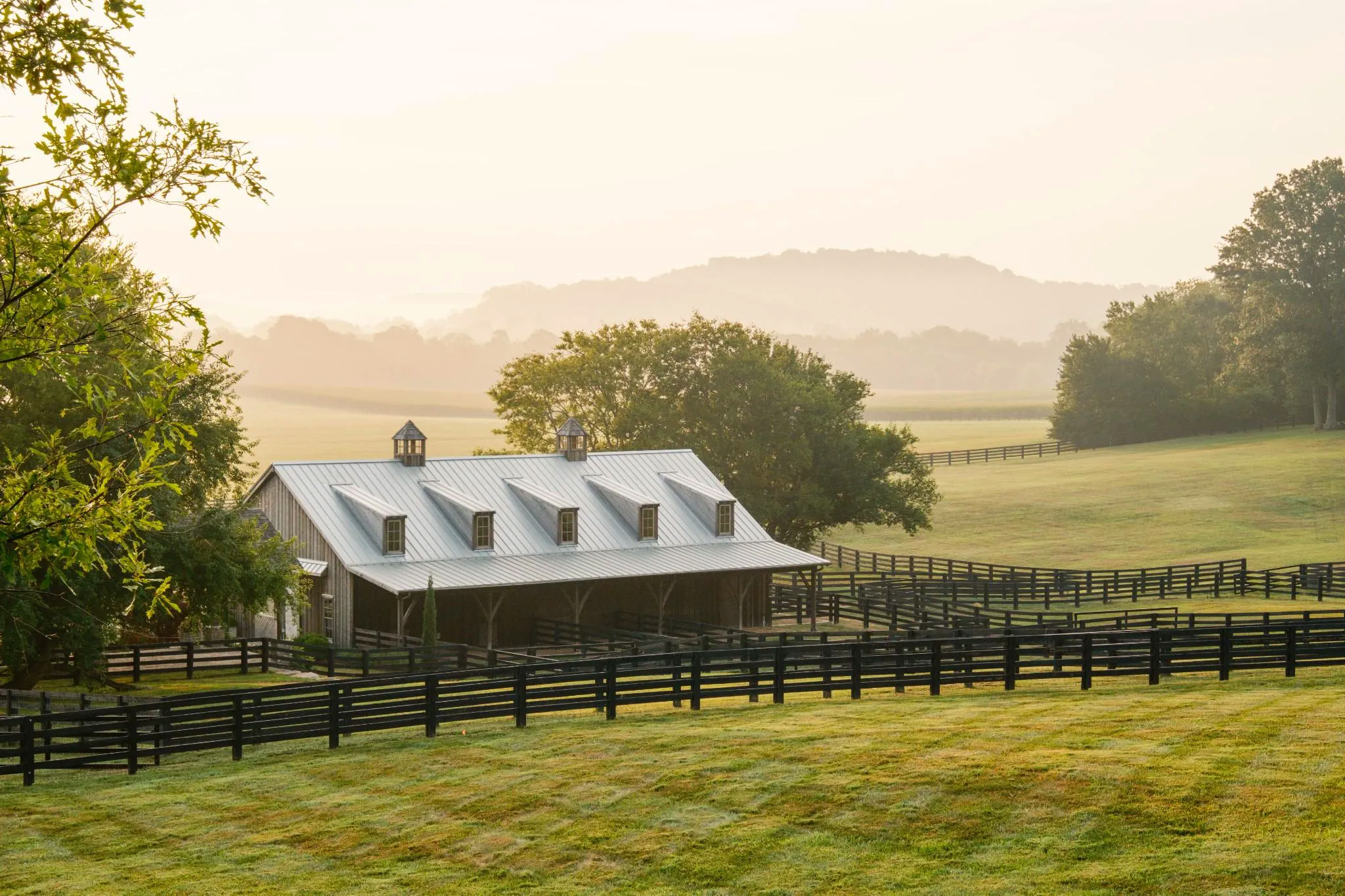 Willow Tree Farm — Photo 6