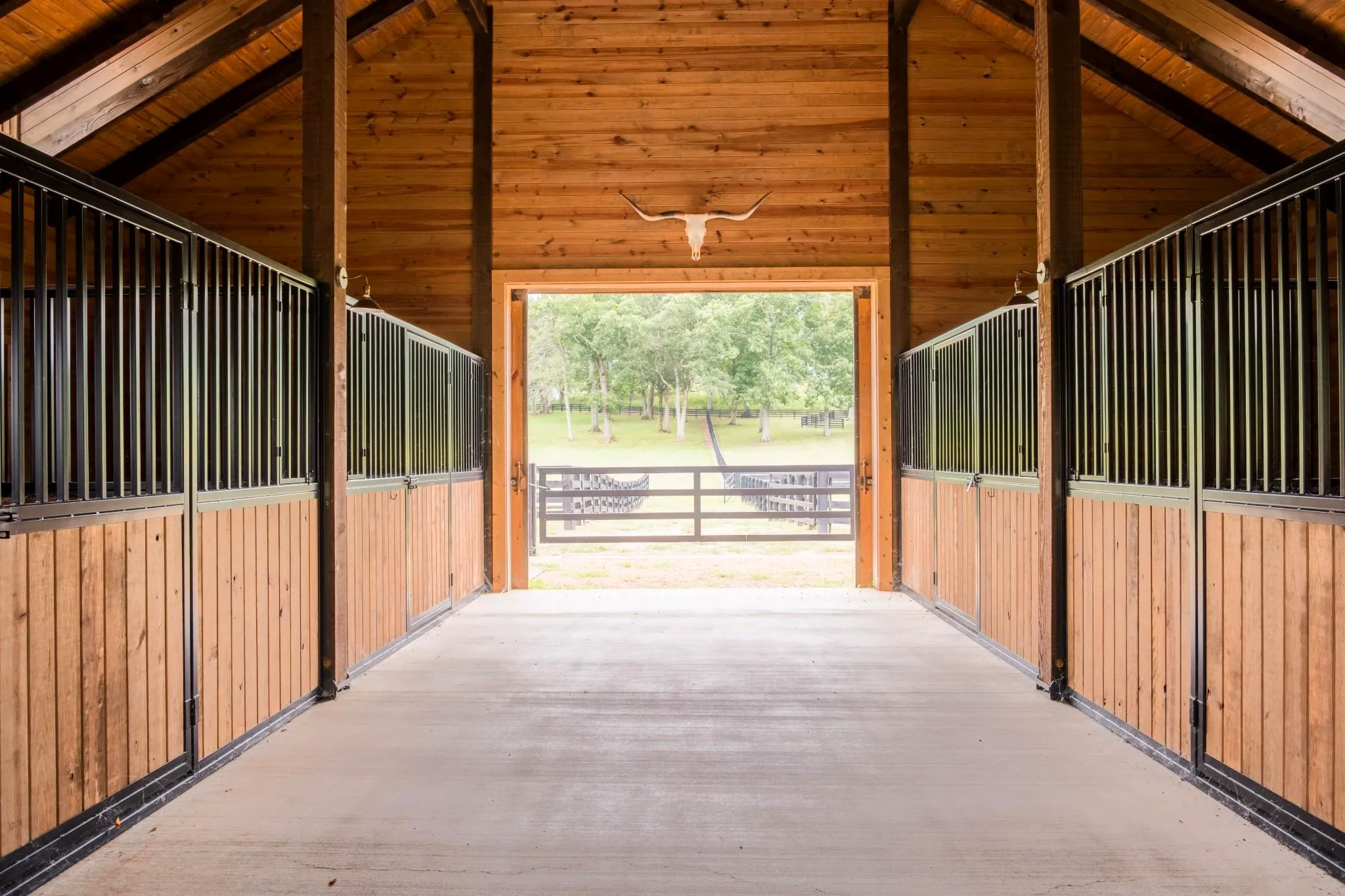 Willow Tree Farm — Photo 7